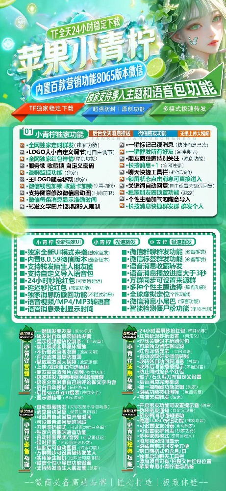 小青柠TF（多开软件批发平台）斗战神8065